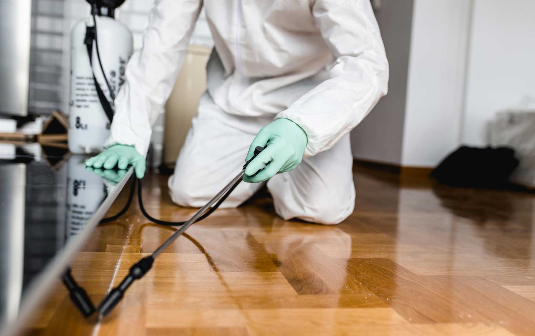Pest Control Technician spraying for insects inside of a home as part of pest control protocol