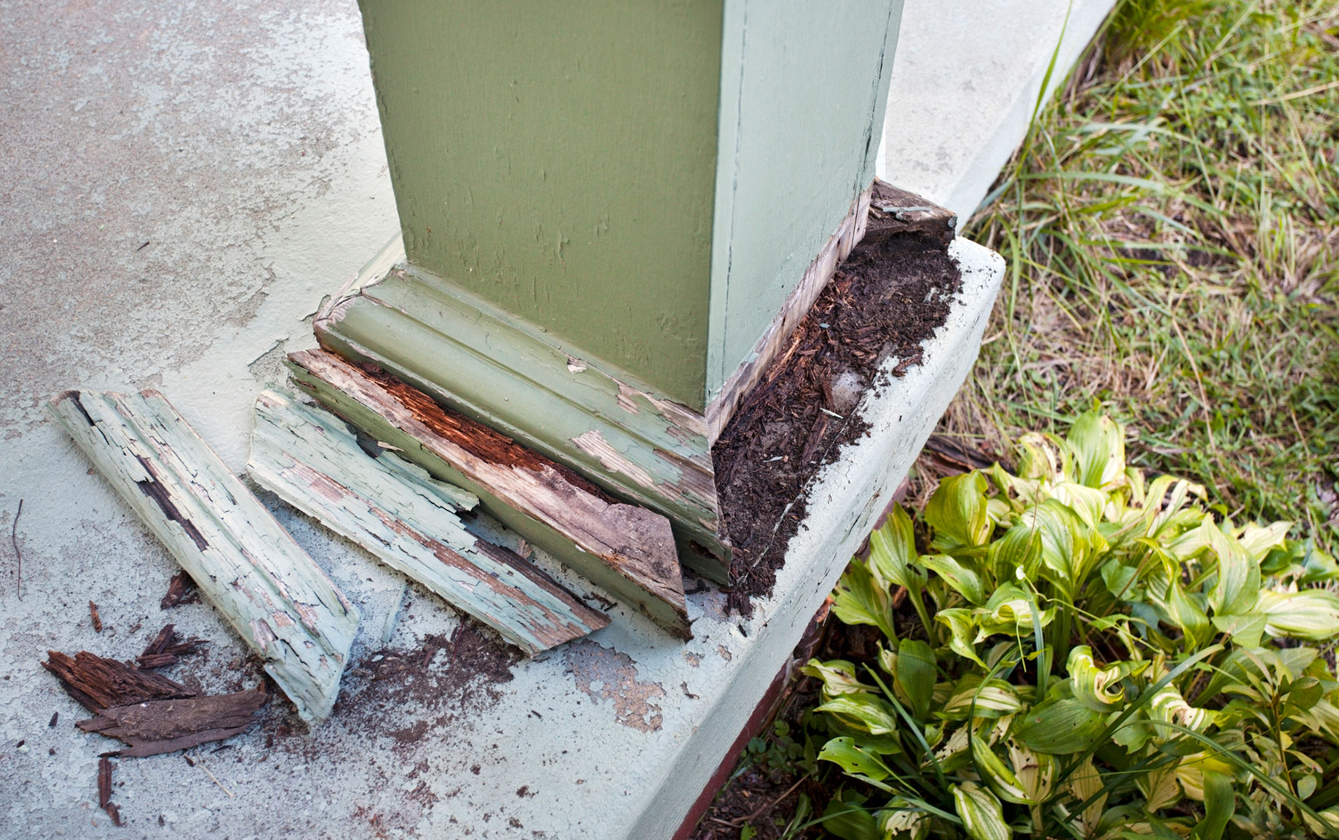 example of termite damage on exterior column