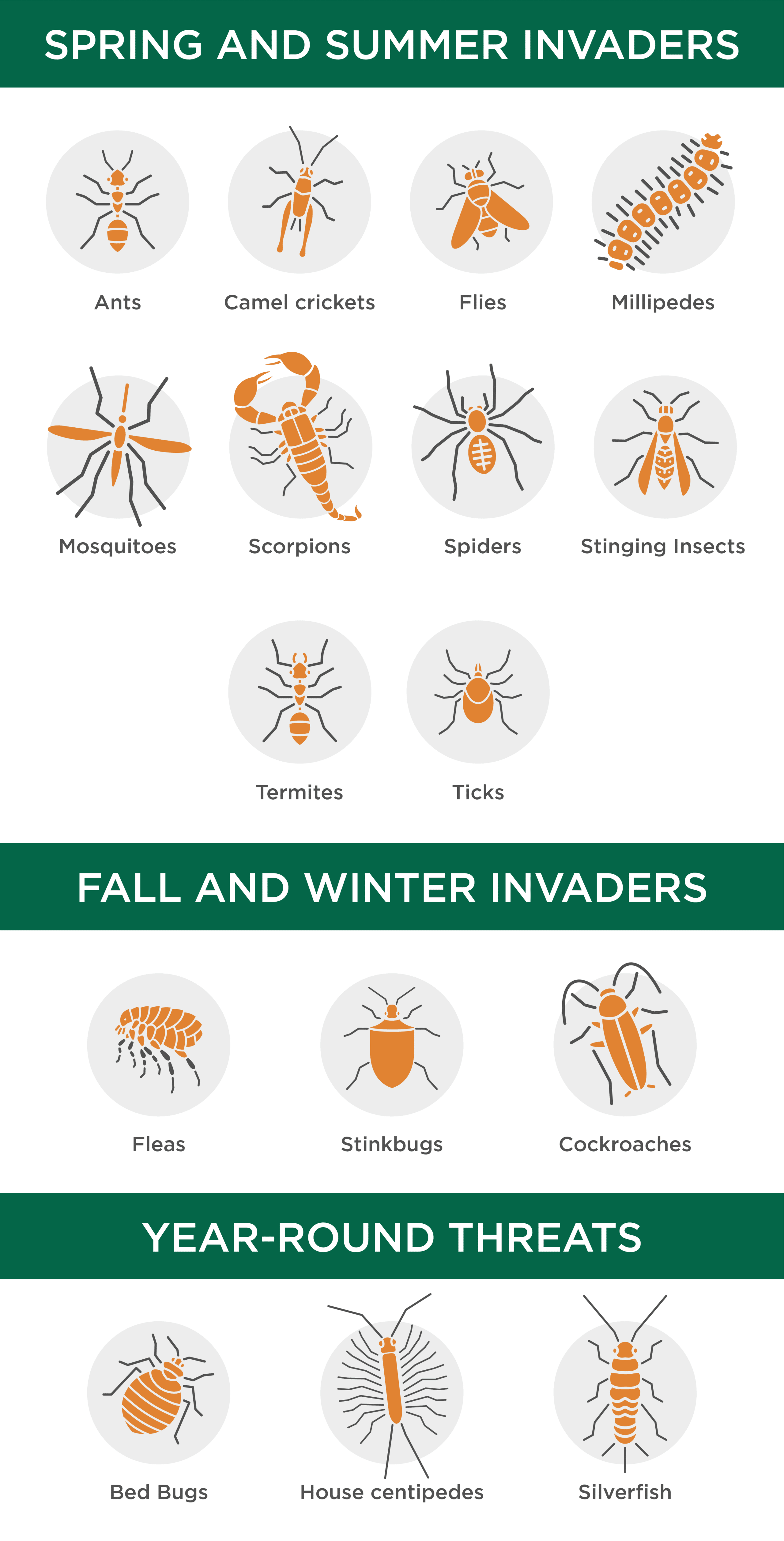 Bug descriptions
