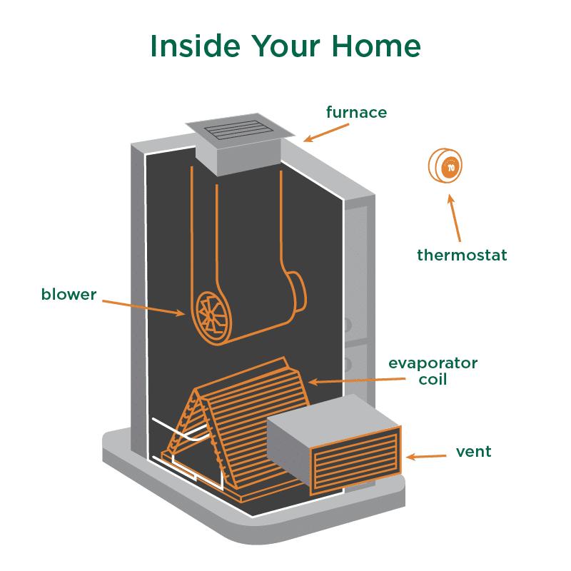 The inner workings of an HVAC system inside your home.
